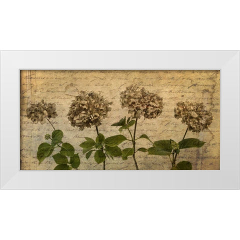 Four dried Hydrangea flowers in a row White Modern Wood Framed Art Print by Frank, Assaf