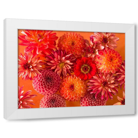 Full frame of mixed flowers White Modern Wood Framed Art Print by Frank, Assaf