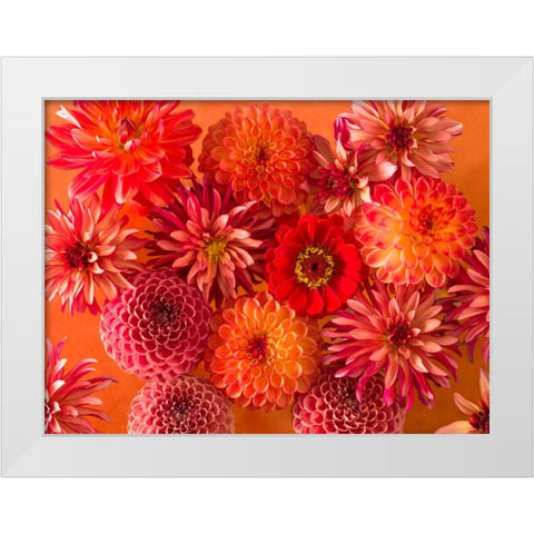 Full frame of mixed flowers White Modern Wood Framed Art Print by Frank, Assaf