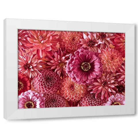 Mixed flowers White Modern Wood Framed Art Print by Frank, Assaf