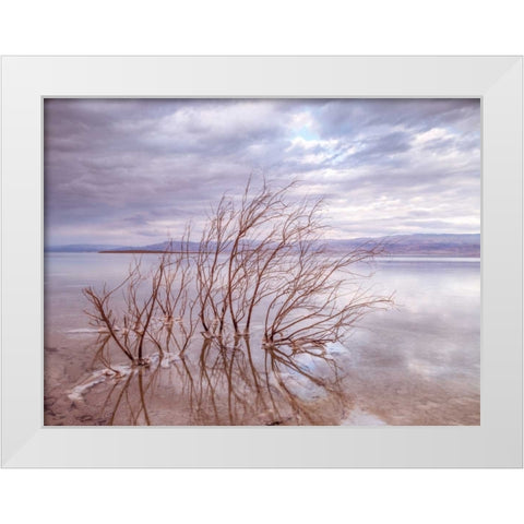 Dead Sea, Israel White Modern Wood Framed Art Print by Frank, Assaf