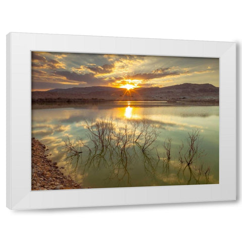 Dead sea, Israel White Modern Wood Framed Art Print by Frank, Assaf