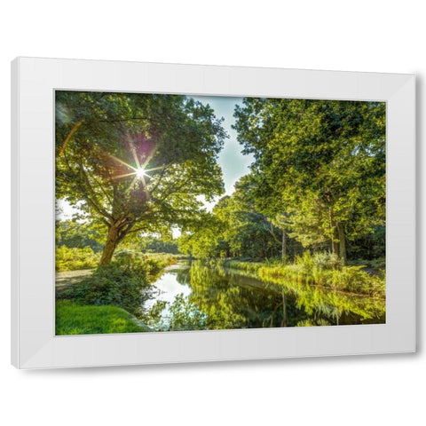 Basingstoke canal in countryside, UK White Modern Wood Framed Art Print by Frank, Assaf
