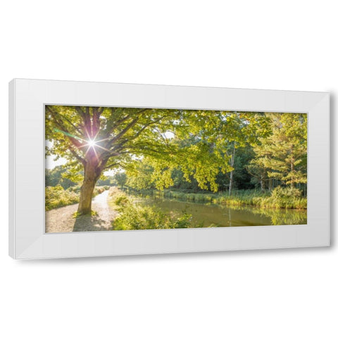 Basingstoke canal in countryside, UK White Modern Wood Framed Art Print by Frank, Assaf