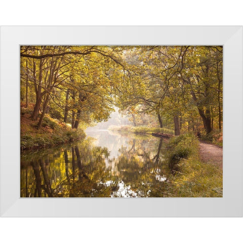 Basingstoke canal White Modern Wood Framed Art Print by Frank, Assaf