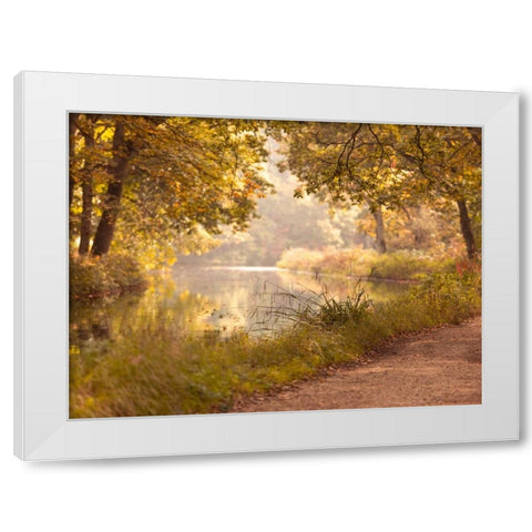 Basingstoke canal in countryside, UK, FTBR-1829 White Modern Wood Framed Art Print by Frank, Assaf