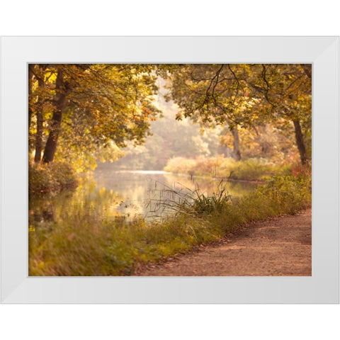 Basingstoke canal in countryside, UK, FTBR-1829 White Modern Wood Framed Art Print by Frank, Assaf