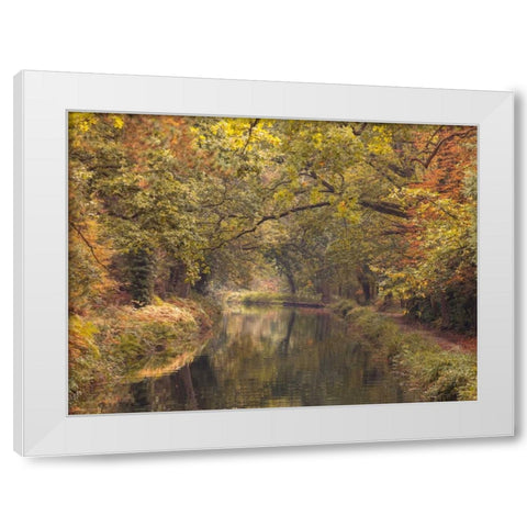 Basingstoke canal in countryside, UK, FTBR-1830 White Modern Wood Framed Art Print by Frank, Assaf