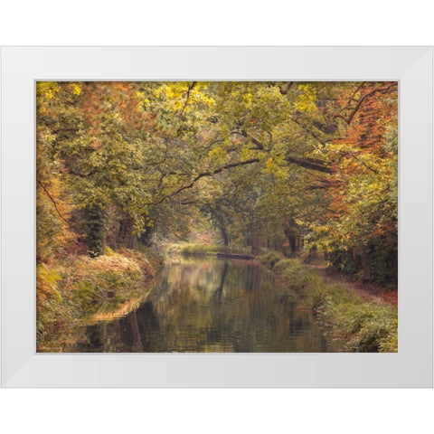 Basingstoke canal in countryside, UK, FTBR-1830 White Modern Wood Framed Art Print by Frank, Assaf
