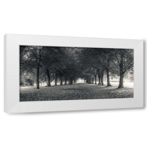 Pathway through trees in forest White Modern Wood Framed Art Print by Frank, Assaf