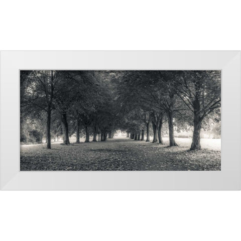 Pathway through trees in forest White Modern Wood Framed Art Print by Frank, Assaf