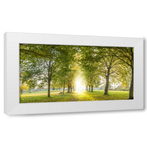 Panoramic view of a forest White Modern Wood Framed Art Print by Frank, Assaf