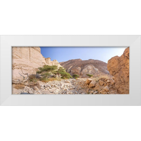Negev Desert-Israel White Modern Wood Framed Art Print by Frank, Assaf