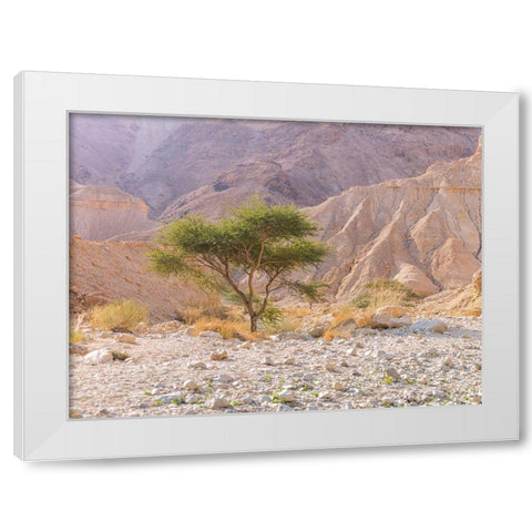 Negev Desert-Israel White Modern Wood Framed Art Print by Frank, Assaf
