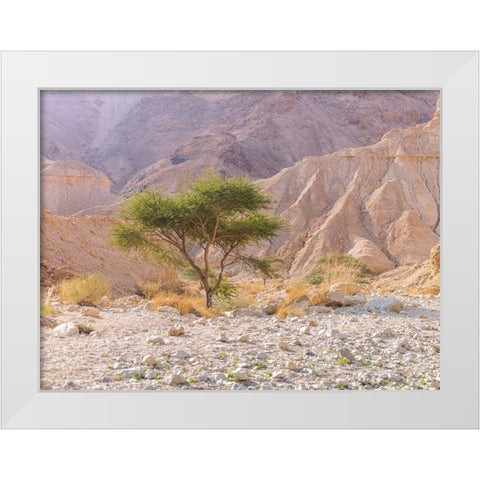 Negev Desert-Israel White Modern Wood Framed Art Print by Frank, Assaf