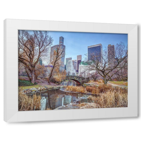 Central park with Manhattan skyline-New York White Modern Wood Framed Art Print by Frank, Assaf