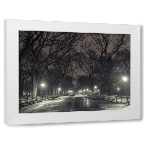 Central park with Manhattan skyline, New York White Modern Wood Framed Art Print by Frank, Assaf