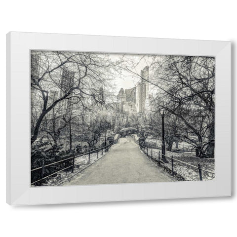 Pathway through Central park, New York White Modern Wood Framed Art Print by Frank, Assaf