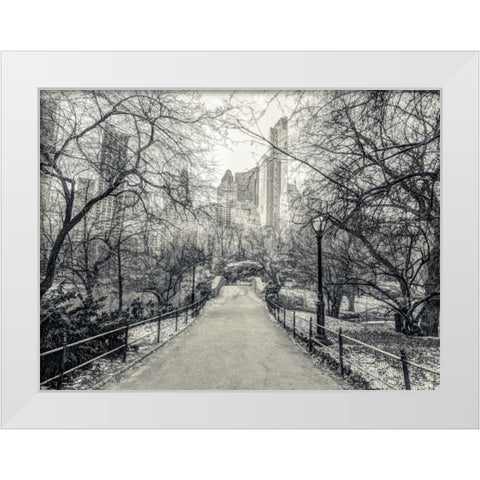 Pathway through Central park, New York White Modern Wood Framed Art Print by Frank, Assaf