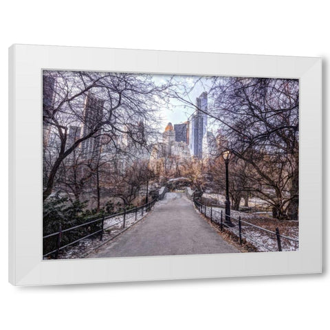 Pathway through Central park, New York White Modern Wood Framed Art Print by Frank, Assaf