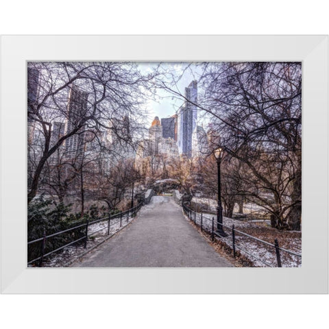 Pathway through Central park, New York White Modern Wood Framed Art Print by Frank, Assaf