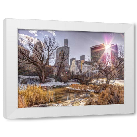 Central park with Lower Manhattan skyline, New York White Modern Wood Framed Art Print by Frank, Assaf