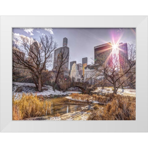 Central park with Lower Manhattan skyline, New York White Modern Wood Framed Art Print by Frank, Assaf