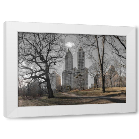 Lower Manhattan cityscape from Central park, New York White Modern Wood Framed Art Print by Frank, Assaf