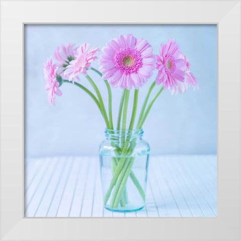 White Daisies in studio White Modern Wood Framed Art Print by Frank, Assaf