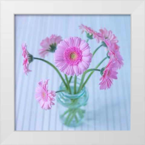 White Daisies in studio White Modern Wood Framed Art Print by Frank, Assaf