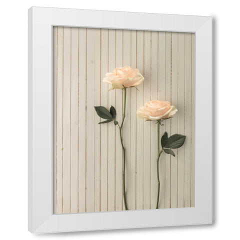 Roses in a row on table White Modern Wood Framed Art Print by Frank, Assaf