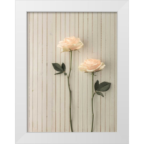 Roses in a row on table White Modern Wood Framed Art Print by Frank, Assaf