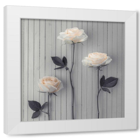 Roses in a row on table White Modern Wood Framed Art Print by Frank, Assaf