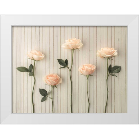 Roses in a row on table White Modern Wood Framed Art Print by Frank, Assaf