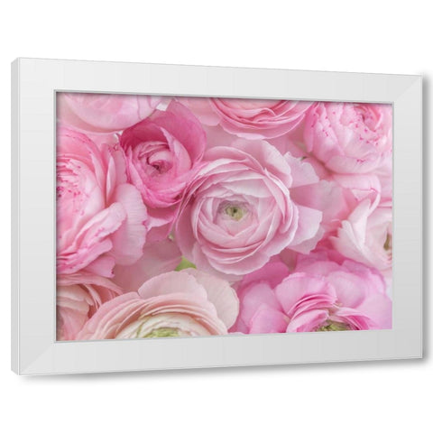 Bunch of Ranuncuclus White Modern Wood Framed Art Print by Frank, Assaf