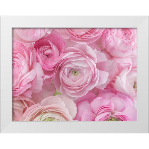 Bunch of Ranuncuclus White Modern Wood Framed Art Print by Frank, Assaf