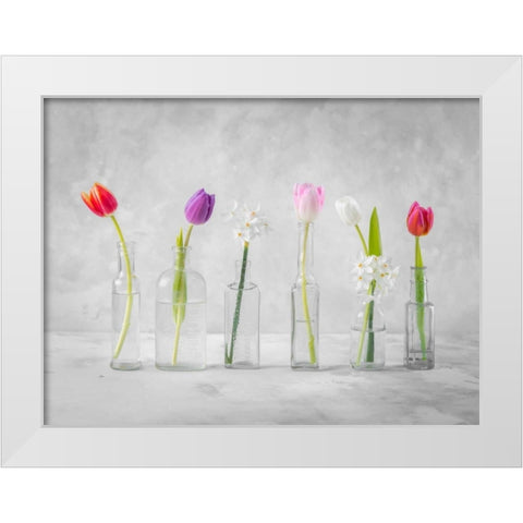 Ranuncuclus flowers in glass bottles White Modern Wood Framed Art Print by Frank, Assaf