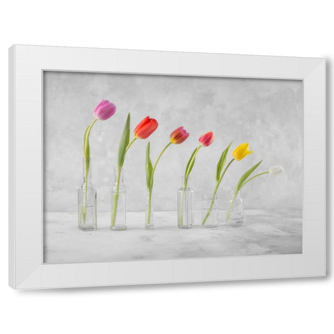 Ranuncuclus flowers in glass bottles White Modern Wood Framed Art Print by Frank, Assaf
