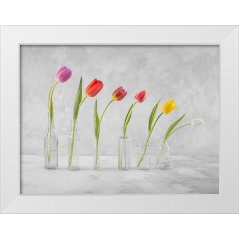 Ranuncuclus flowers in glass bottles White Modern Wood Framed Art Print by Frank, Assaf