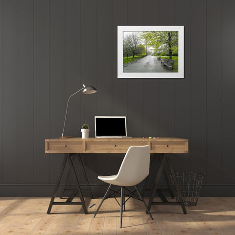 St James Park, London White Modern Wood Framed Art Print by Frank, Assaf