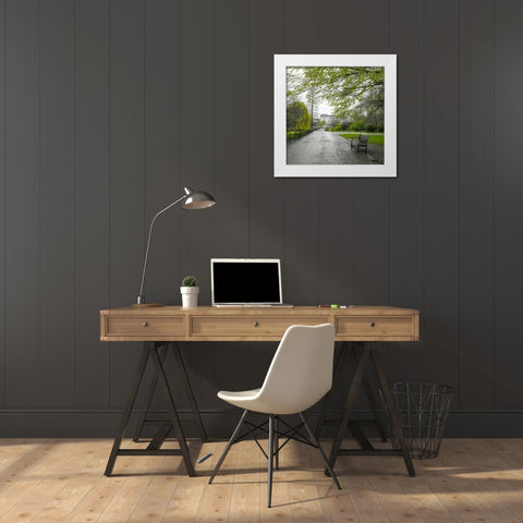 St James Park, London White Modern Wood Framed Art Print by Frank, Assaf