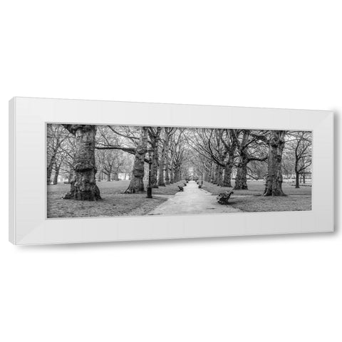 Avenue of trees, Green Park, London, FTBR-1839 White Modern Wood Framed Art Print by Frank, Assaf