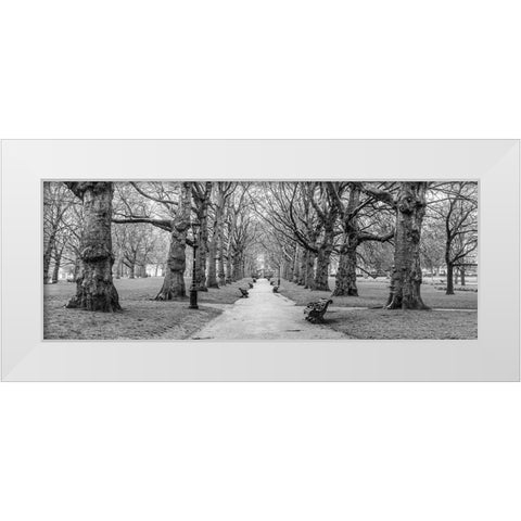 Avenue of trees, Green Park, London, FTBR-1839 White Modern Wood Framed Art Print by Frank, Assaf