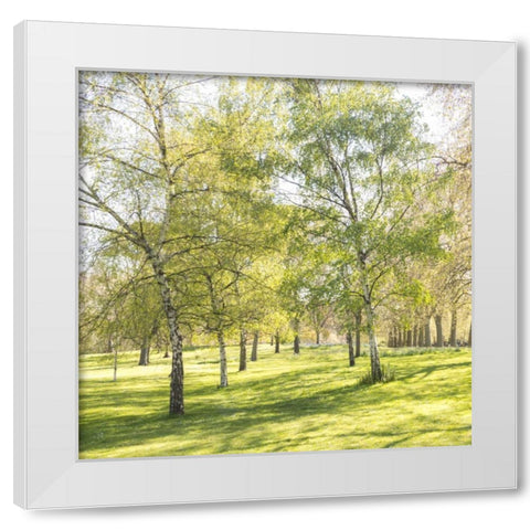 Changing the Guard, Buckingham Palace, London White Modern Wood Framed Art Print by Frank, Assaf