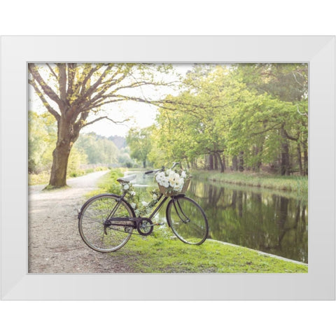 Variety of pulses in a wooden box White Modern Wood Framed Art Print by Frank, Assaf