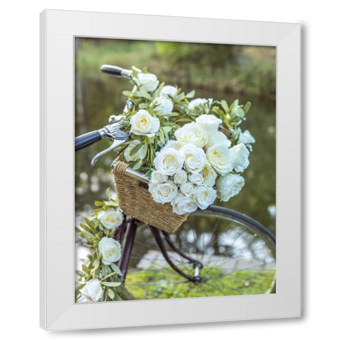 Variety of pulses in a wooden box White Modern Wood Framed Art Print by Frank, Assaf