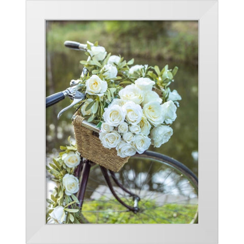 Variety of pulses in a wooden box White Modern Wood Framed Art Print by Frank, Assaf