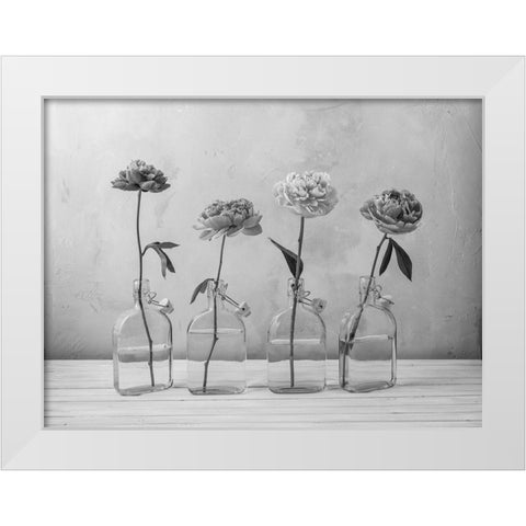 Peonies in glass bottles White Modern Wood Framed Art Print by Frank, Assaf