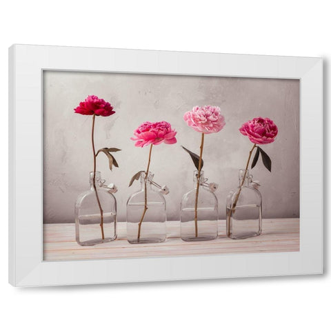 Peonies in glass bottles White Modern Wood Framed Art Print by Frank, Assaf