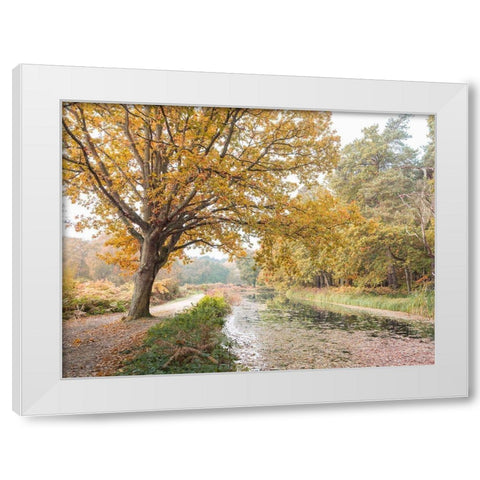 Basingstoke Canal White Modern Wood Framed Art Print by Frank, Assaf